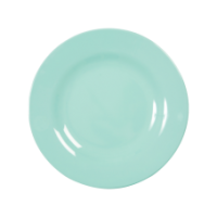 Dark Mint Melamine Side or Kids Plate Rice Dk